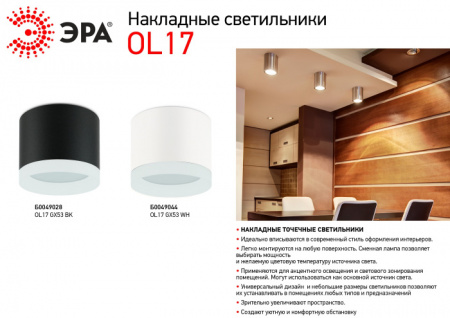 Точечный светильник OL17 GX53 WH OL17 GX53 WH