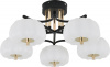 Потолочная люстра Halma 10301/5LED