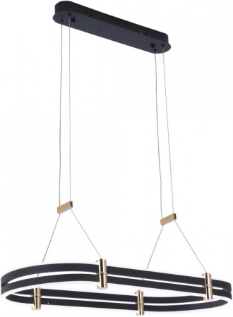 Светильник подвесной Zortes Duble-R ZRS.30505.92