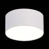 Светильник потолочный ST Luce ST606.542.12