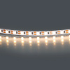 Светодиодная лента Lightstar 420563