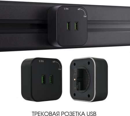 Трековая розетка Arte Milano Am-track-sockets 380022TS/USBx2 Black