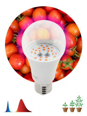 Фитолампа FITO-10W-RB-E27