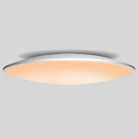 Потолочный светильник Slim 7978