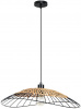 Светильник подвесной Arte Lamp Woodstock A7061SP-1BK