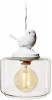 Подвесной светильник Wildlife LOFT1806