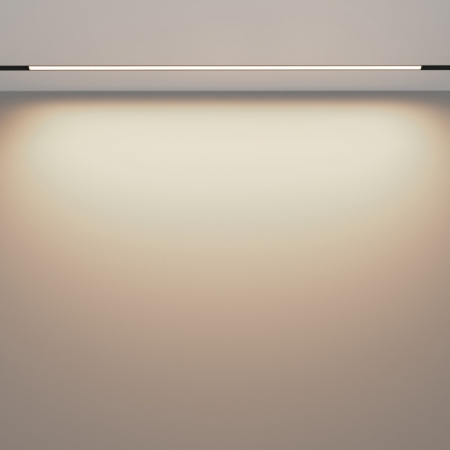 Трековый светильник Maytoni Basis Exility TR030-2-30W3K-B