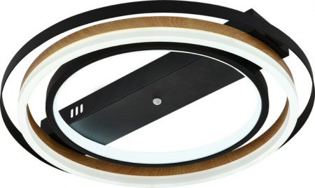 Потолочная люстра Lagom 10247/2LED