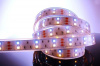 Светодиодная лента SMD5050 621362