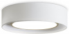 Светильник потолочный Freya Cozy FR6170CL-L52BS