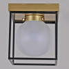 Потолочный светильник ILLUMICO IL0050-1C-79