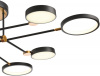 Потолочная люстра Loft Led LED LAMPS 81102/6C BRASS BLACK