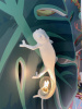 Настенный светильник Chameleon Lamp 15092