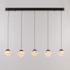 Светильник подвесной Delight Collection MD25030003 MD25030003-5B matt black/clear