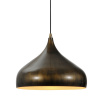 Светильник Саратога Lussole LOFT LSP-9655