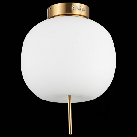 Светильник потолочный ST Luce Lacus SL1621.202.01
