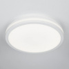 Светильник потолочный Citilux Luns CL711020V