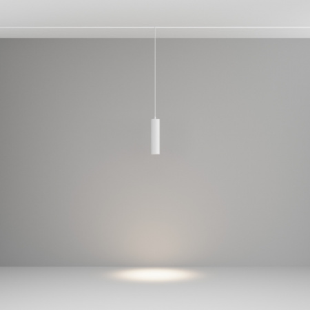 Трековый светильник Maytoni Focus LED Exility TR041-2-12W4K-W