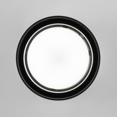 Уличный потолочный светильник Elektrostandard Light 35144/H черный