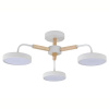 Потолочная люстра Kaori 10270/3LED