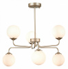 Люстра на штанге ST-Luce Redjino SLE106203-06