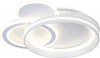 Потолочная люстра Acrylica Disk FA8511