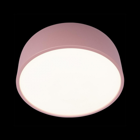 Потолочный светильник Axel Loft It 10201/350 Pink