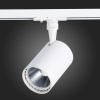 Светильник на штанге ST-Luce Cami ST351.536.20.24
