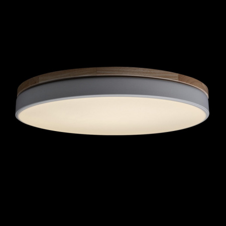 Потолочный светильник Axel Loft It 10001/36 White
