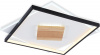 Потолочный светильник COMFORT FL4791