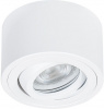Накладной светильник Arte Lamp Unito A0550PL-1WH
