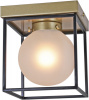Потолочный светильник ILLUMICO IL0050-1C-79