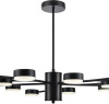 Потолочная люстра Lumion Torina 8117/15