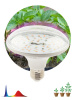 Фитолампа FITO-18W-RB-E27