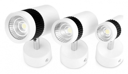 Спот Ambrella Light Techno Spot TN101/10W WH/BK