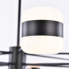 Потолочная люстра Ferrara 3307.6296-8 Black