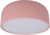 Потолочный светильник Axel Loft It 10201/350 Pink