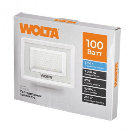 Прожектор уличный WFL-100W/06W