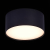 Светильник потолочный ST Luce ST606.432.12