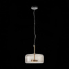 Светильник подвесной ST Luce Palochino SL1053.243.01
