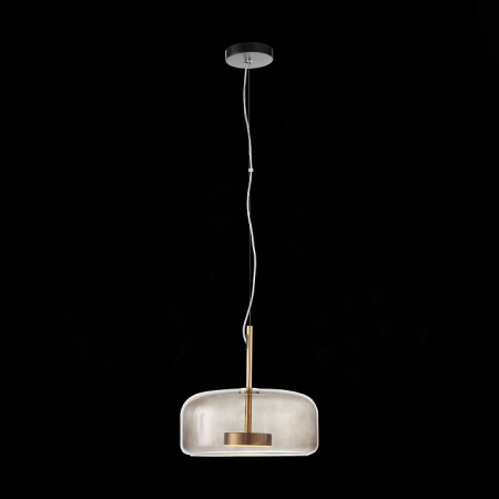 Светильник подвесной ST Luce Palochino SL1053.243.01