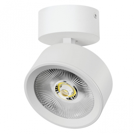 Спот Alta Pro A5636SO