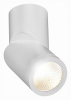 Накладной светильник ST Luce St650 ST650.542.10