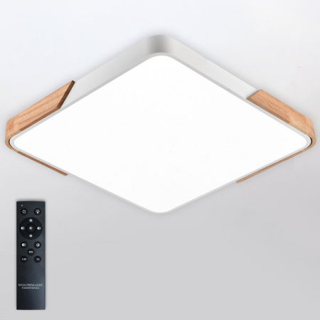Светильник потолочный Natali Kovaltseva LED LAMPS 81411