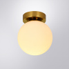 Светильник потолочный Arte Lamp Alcor A2224PL-1PB