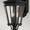 Настенный фонарь уличный Cotswold Lane FE-COTSLN2-M-BK