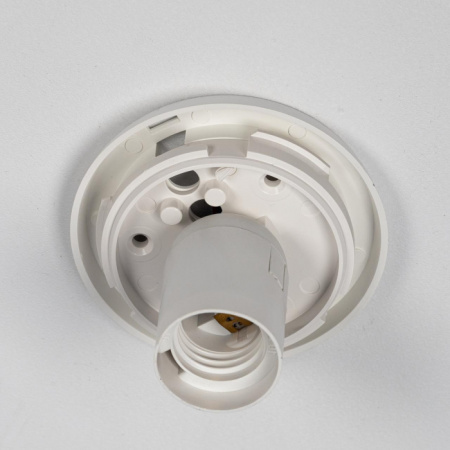 Настенно-потолочный светильник Ron CL941D20B0