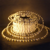 Дюралайт 13-2W-100M-24V-LED-U WW