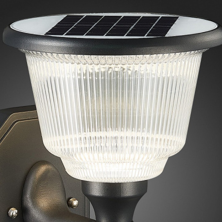 Уличный настенный светильник ST Luce Solaris SL9502.401.01