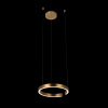 Подвесной светильник Ring 10013S